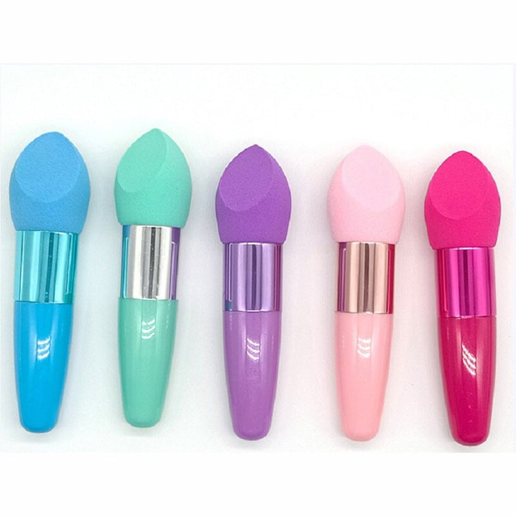 The Daily Drop Three Brushes Sponge Beauty Blender Set
