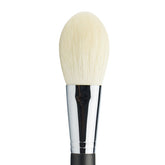 The Daily Drop Professional Makeup Brush Set
