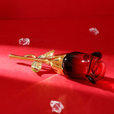 The Daily Drop Midnight Rose Long Lasting Perfume For Women