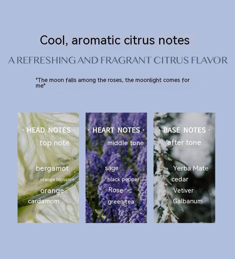 The Daily Drop Aromatic Citrus Long Lasting Perfume