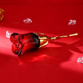The Daily Drop Midnight Rose Long Lasting Perfume For Women