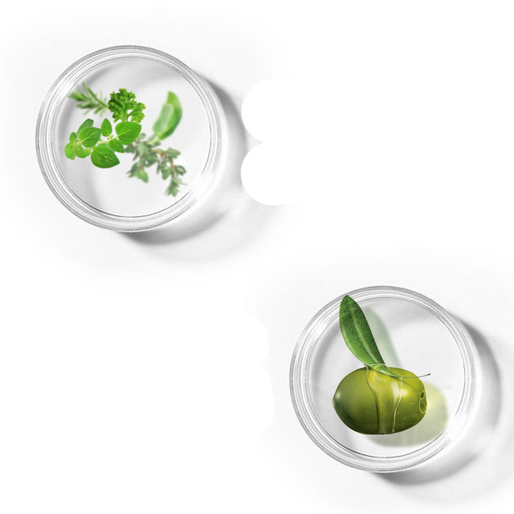 The Daily Drop Amino Acid Facial Cleanser