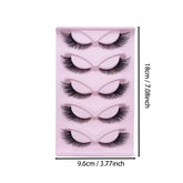 cc22ae773a80d1fd24512d72db1c2c5c